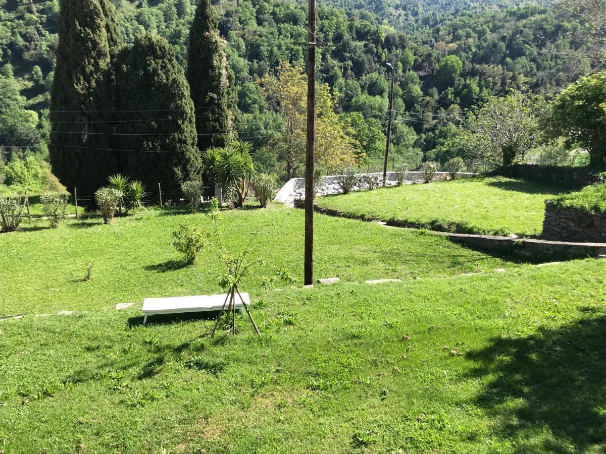 Maison De Charme Corse Sauvage Pietra-di-Verde Екстериор снимка