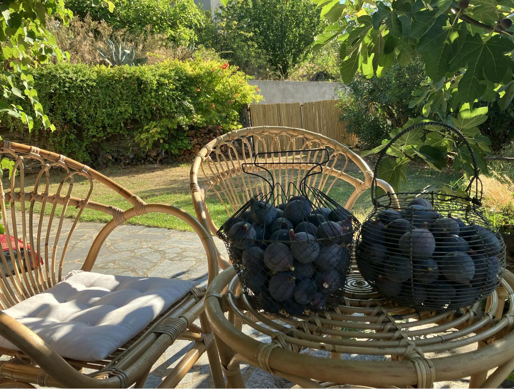 Maison De Charme Corse Sauvage Pietra-di-Verde Екстериор снимка