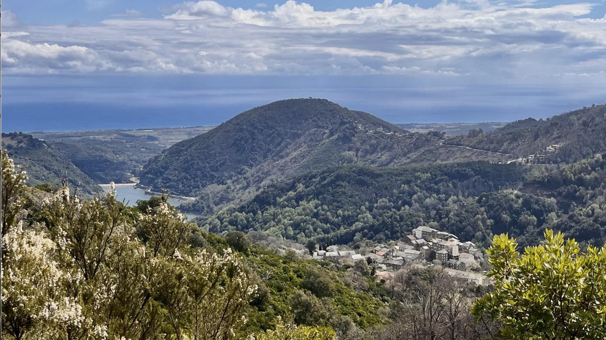Maison De Charme Corse Sauvage Pietra-di-Verde Екстериор снимка