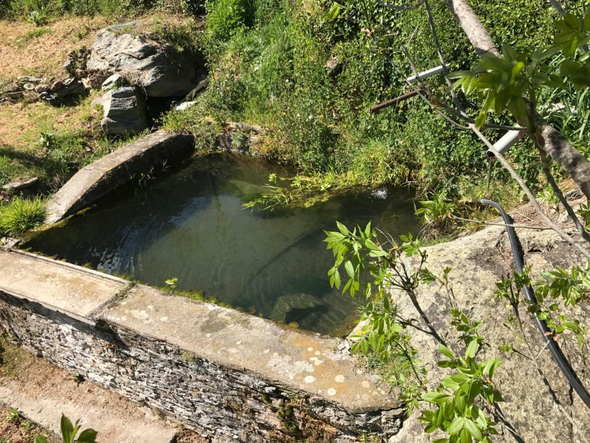 Maison De Charme Corse Sauvage Pietra-di-Verde Екстериор снимка