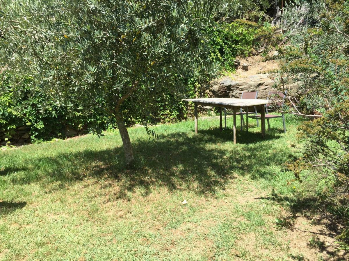 Maison De Charme Corse Sauvage Pietra-di-Verde Екстериор снимка