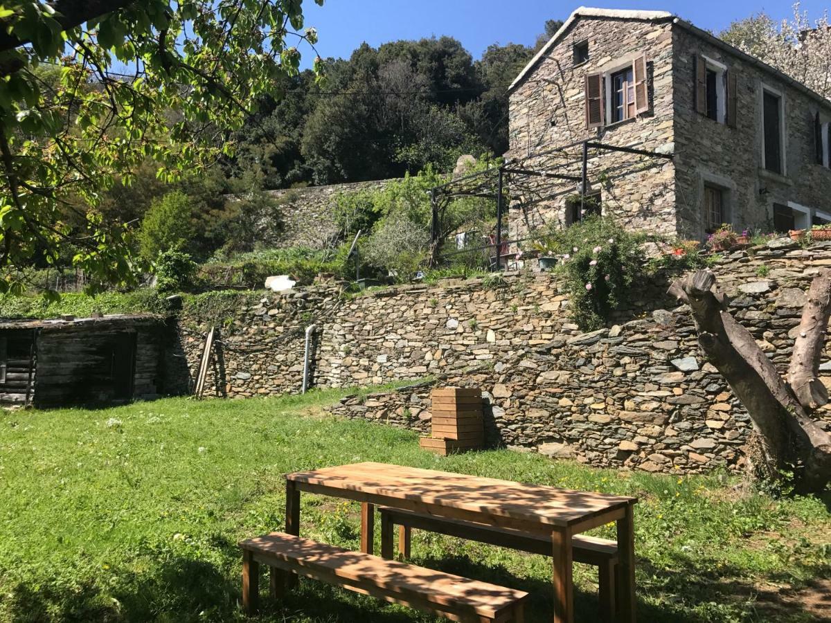 Maison De Charme Corse Sauvage Pietra-di-Verde Екстериор снимка